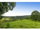 # 145 Repentance Creek Road, Rosebank NSW 2480