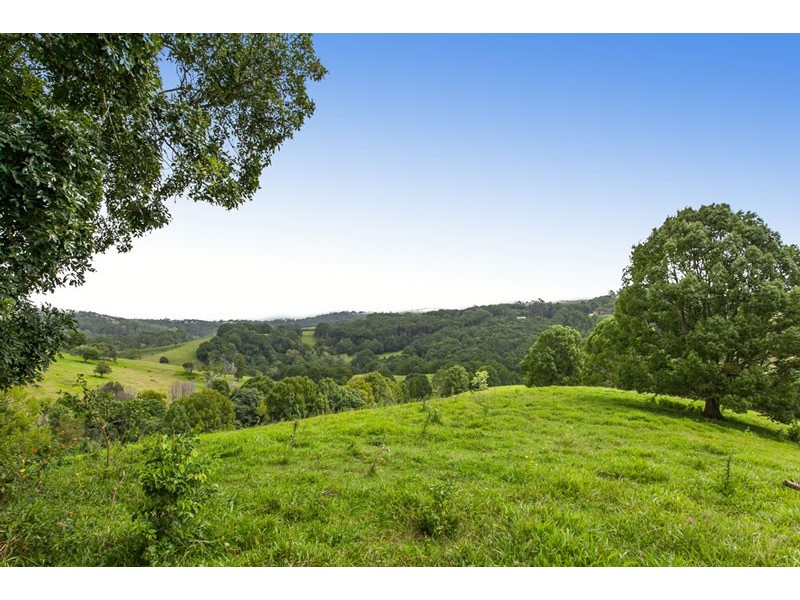 # 145 Repentance Creek Road, Rosebank NSW 2480