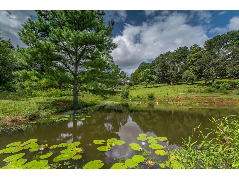 # 145 Repentance Creek Road, Rosebank NSW 2480