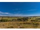 # 82 Tooheys Mill Road, Fernleigh NSW 2479