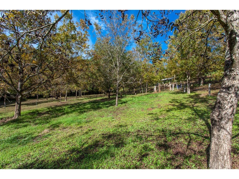 # 82 Tooheys Mill Road, Fernleigh NSW 2479