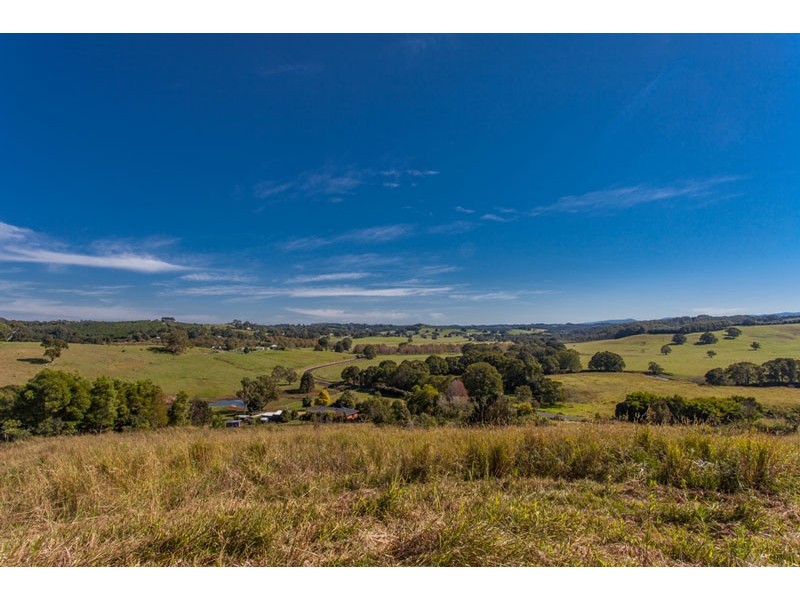 82 Tooheys Mill Road, Fernleigh NSW 2479