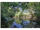 297 Left Bank Road, Mullumbimby NSW 2482