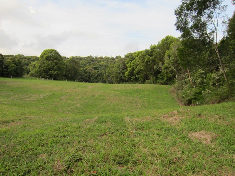 #28 General Stubbs Drive, Rosebank NSW 2480