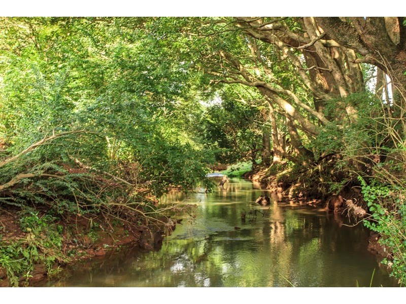 Lot 7 “The Meadows”, Bangalow NSW 2479