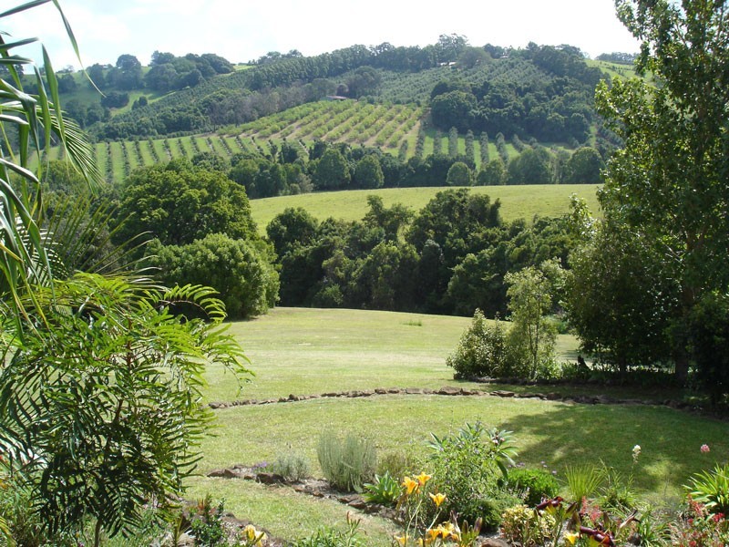 # 499 Binna Burra Road, Federal NSW 2480