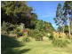 # 499 Binna Burra Road, Federal NSW 2480