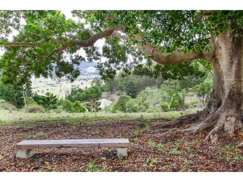 708 Dunoon Road, Tullera NSW 2480