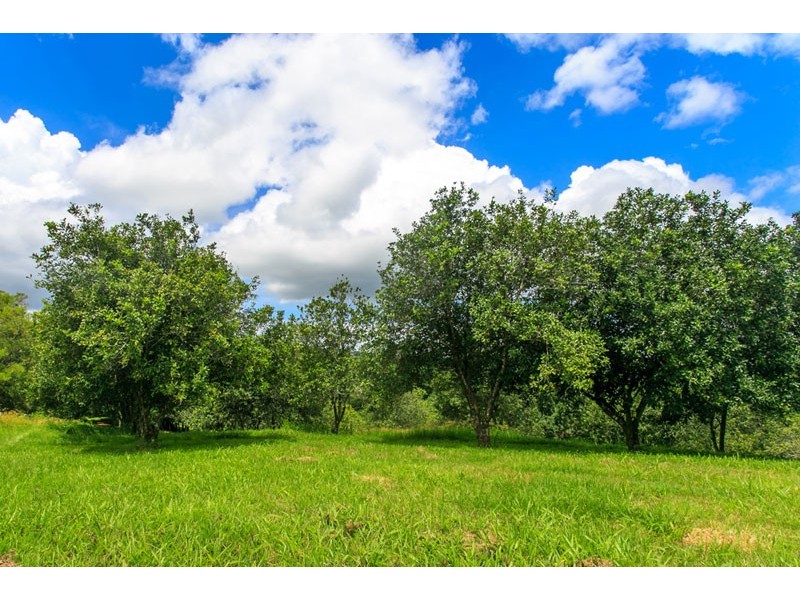 28 General Stubbs Drive, Rosebank NSW 2480