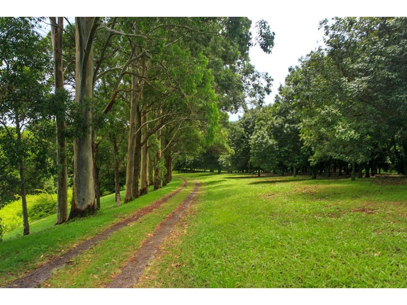 # 28 General Stubbs Drive, Rosebank NSW 2480