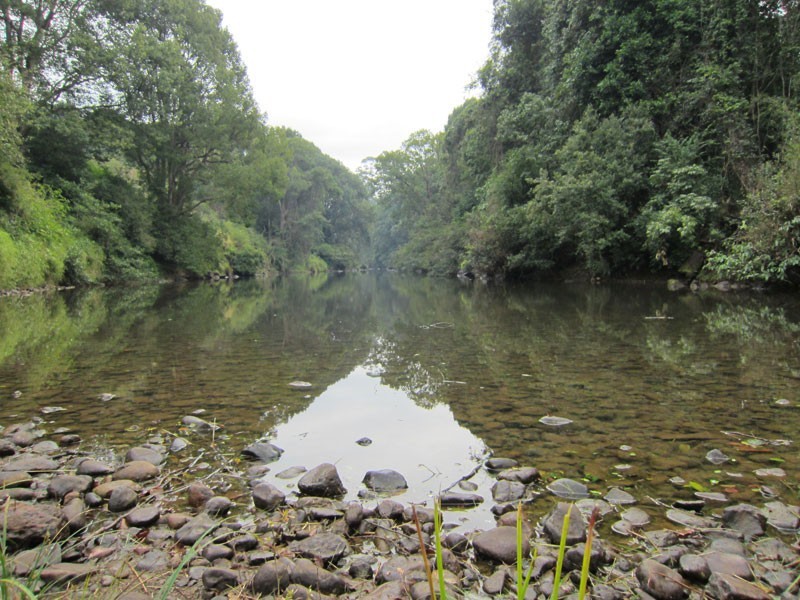 # 28 General Stubbs Drive, Rosebank NSW 2480