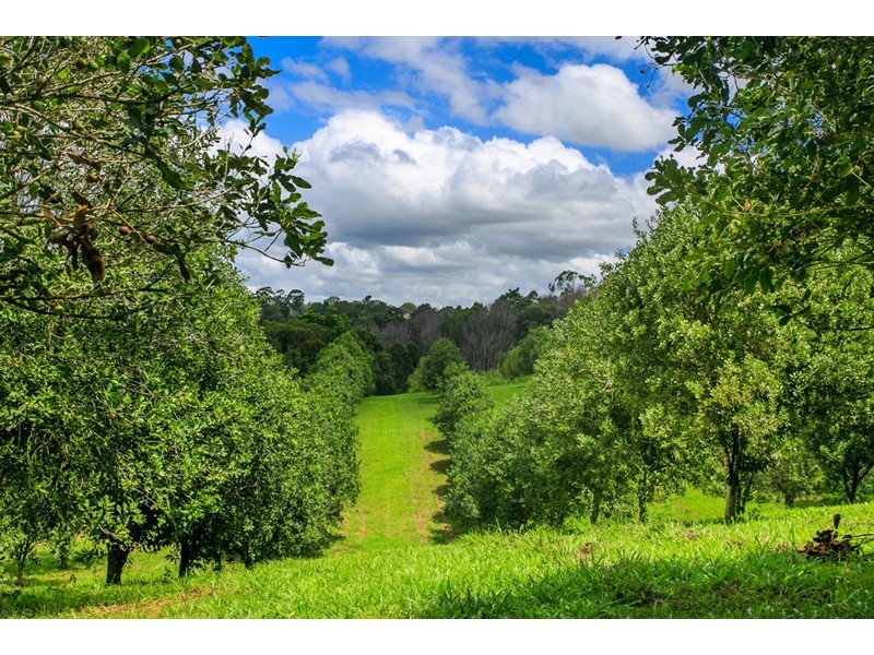 # 28 General Stubbs Drive, Rosebank NSW 2480