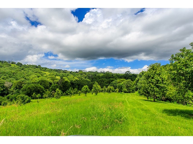 # 28 General Stubbs Drive, Rosebank NSW 2480