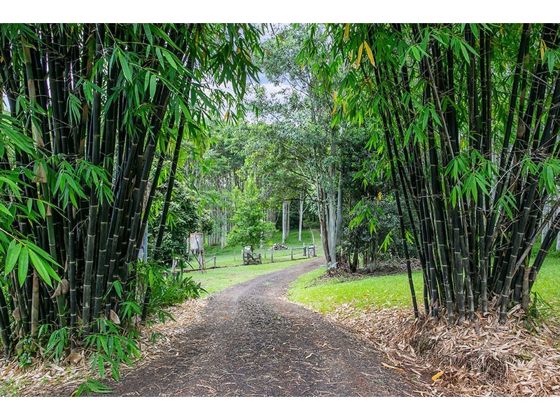 260 Arthur Road, Corndale NSW 2480