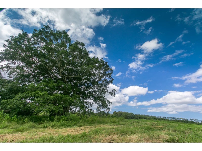 939 Booyong Road, Clunes NSW 2480