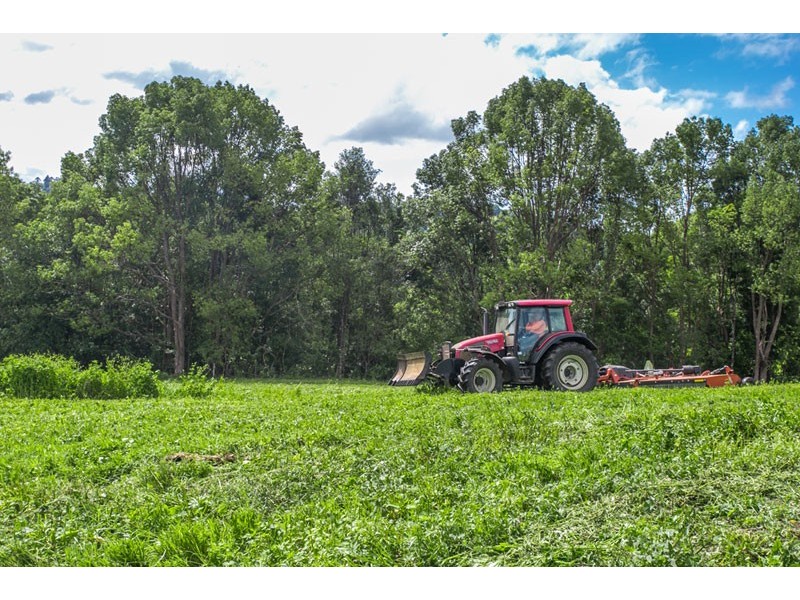 939 Booyong Road, Clunes NSW 2480