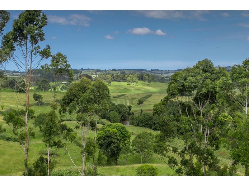 939 Booyong Road, Clunes NSW 2480