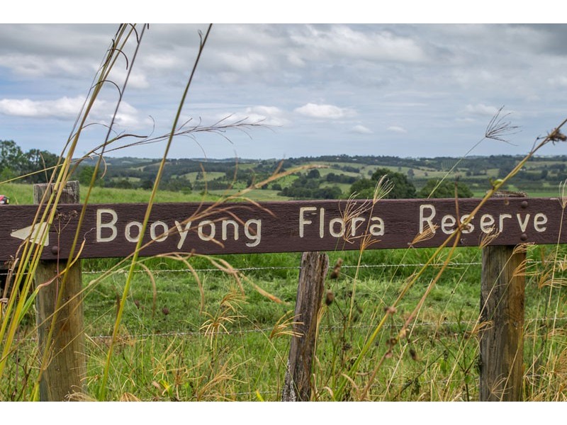 939 Booyong Road, Clunes NSW 2480