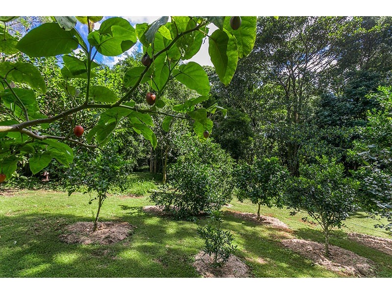 # 282 Repentance Creek Road, Rosebank NSW 2480