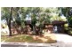 Clunes NSW 2480