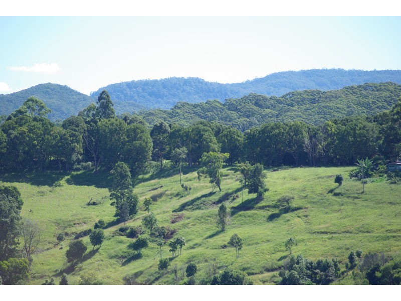 1 Mafeking Road, Goonengerry NSW 2482