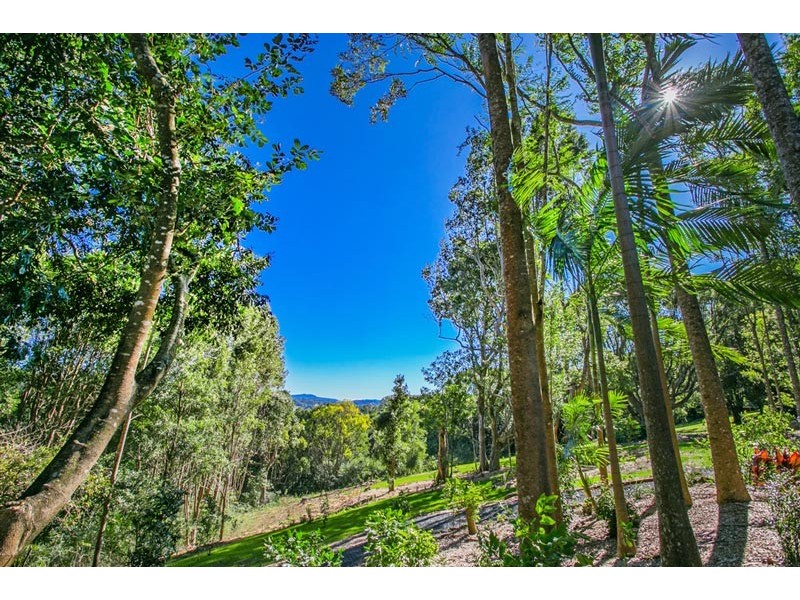 # 824 Friday Hut Road, Possum Creek NSW 2479
