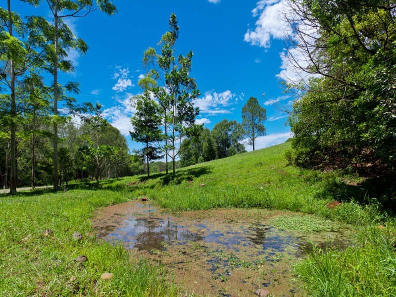 # 2364C Dunoon Road, Rosebank NSW 2480