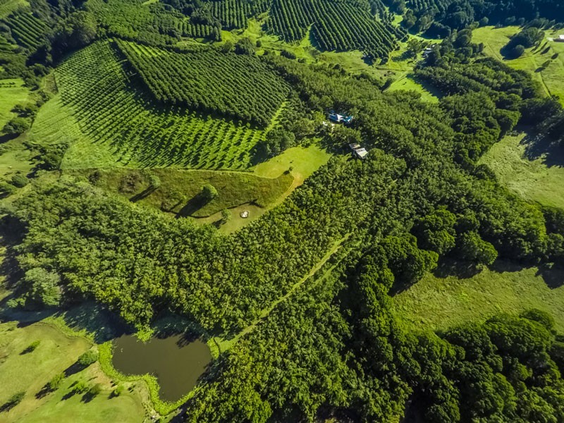 # 204 Tooheys Mill Road, Nashua NSW 2479