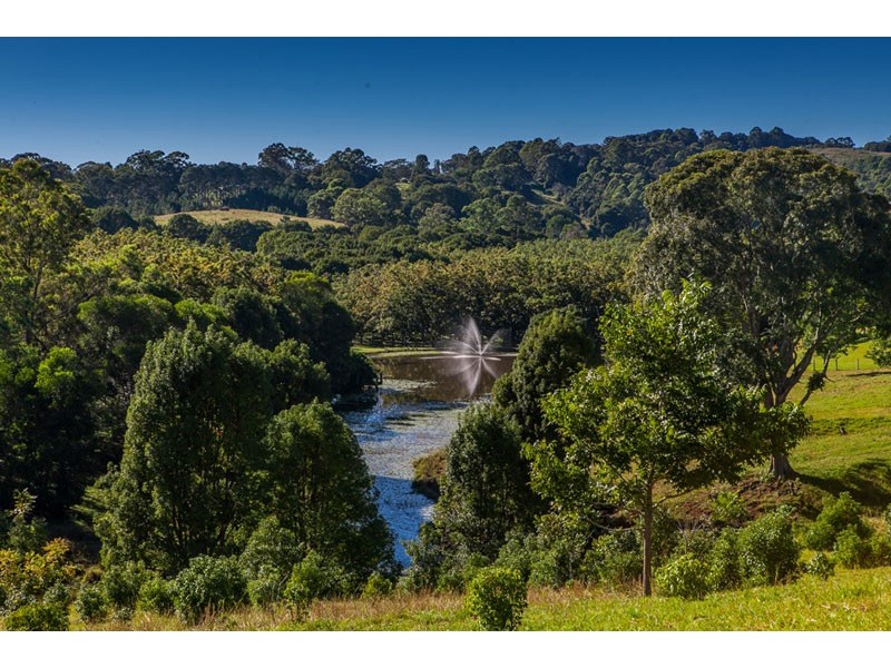 # 204 Tooheys Mill Road, Nashua NSW 2479