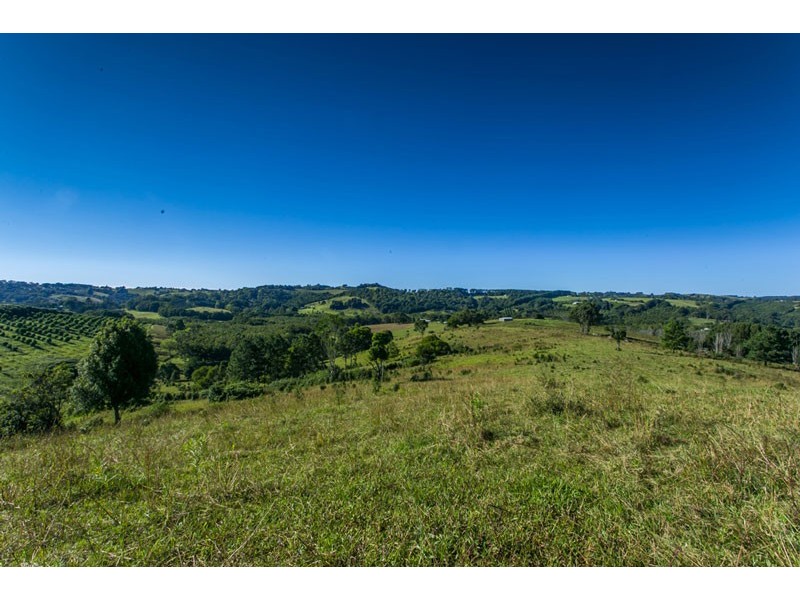 # 204 Tooheys Mill Road, Nashua NSW 2479