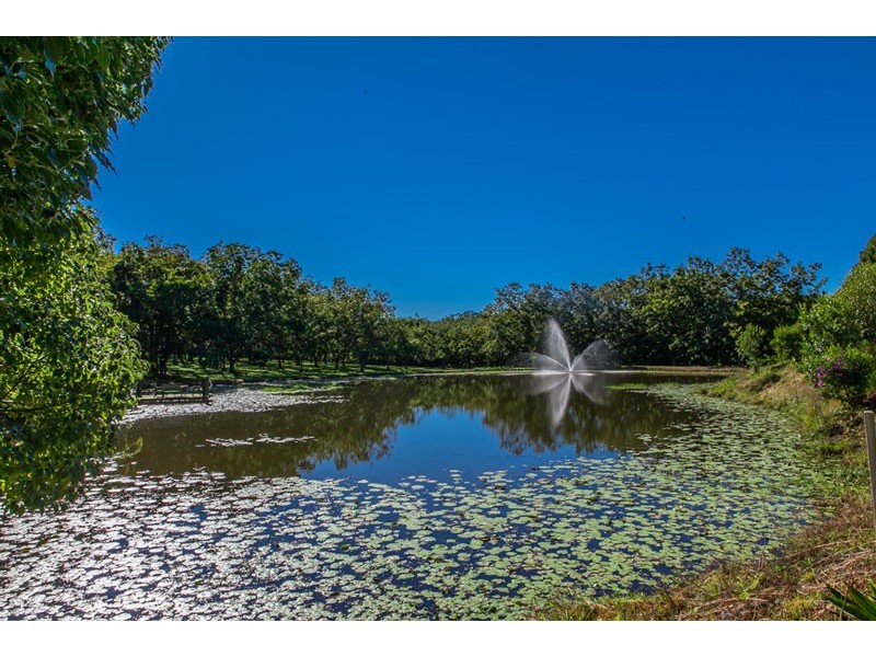 # 204 Tooheys Mill Road, Nashua NSW 2479