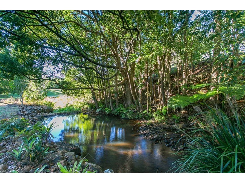 204 Tooheys Mill Road, Nashua NSW 2479