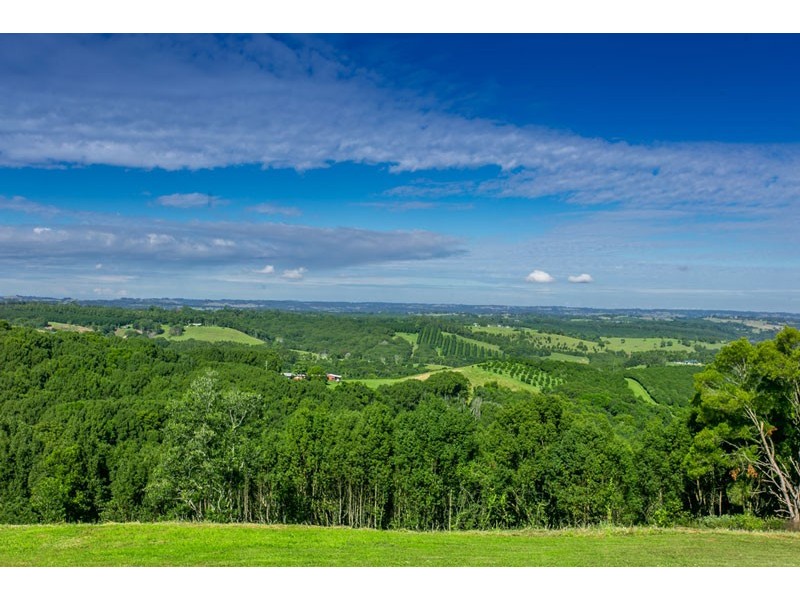 67 Bougainvillea Drive, Federal NSW 2480