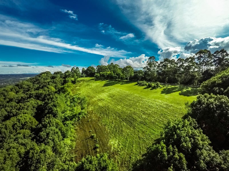 67 Bougainvillea Drive, Federal NSW 2480