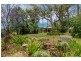 # 47 Emerson Road, Rosebank NSW 2480