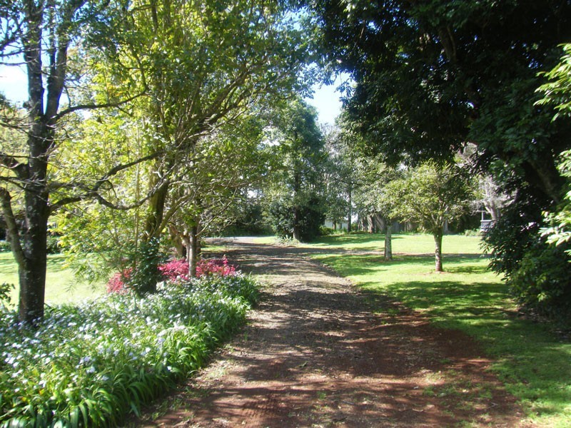 # 47 Emerson Road, Rosebank NSW 2480