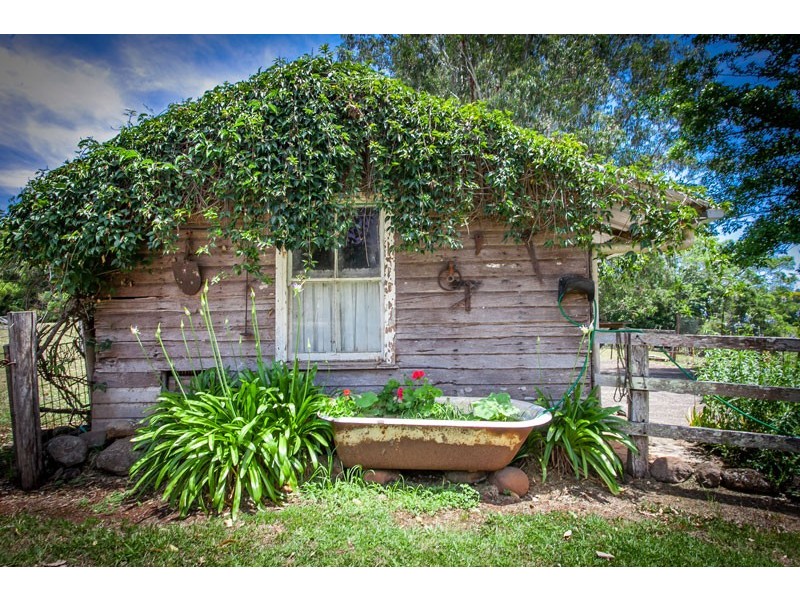 # 47 Emerson Road, Rosebank NSW 2480