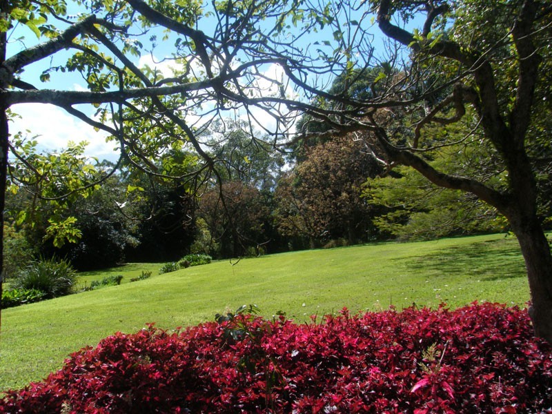 47 Emerson Road, Rosebank NSW 2480