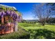 161 Repentance Creek Road, Federal NSW 2480