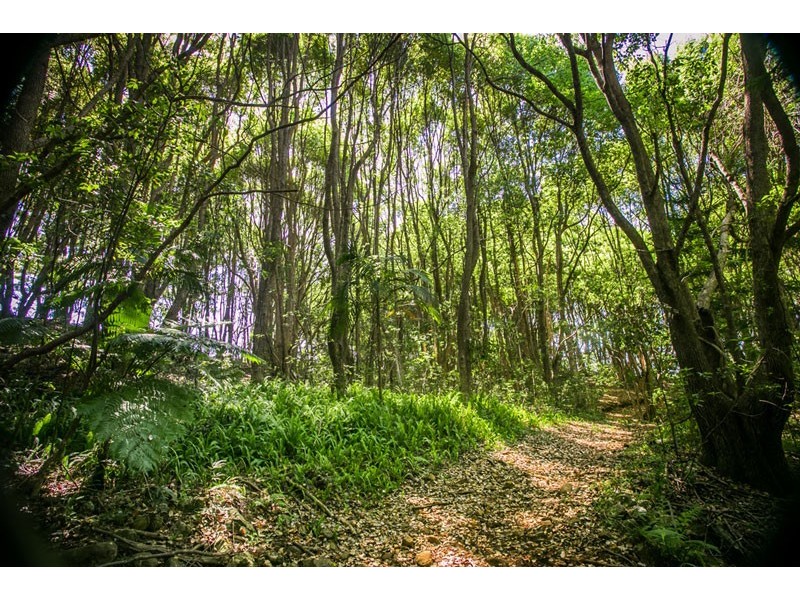 Possum Creek NSW 2479