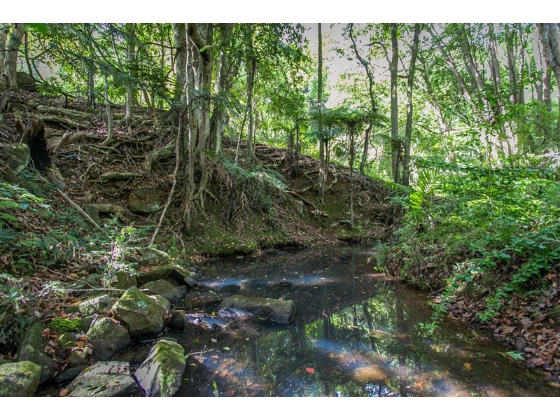 # Lot 5 Pacific Highway, Bangalow NSW 2479