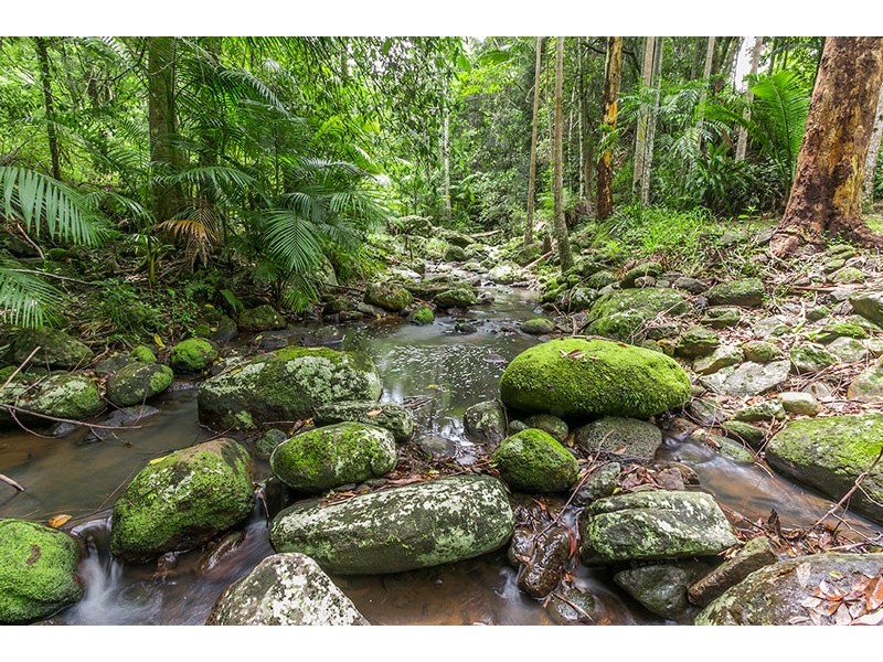 # 321 Coopers Creek Road, Upper Coopers Creek NSW 2482