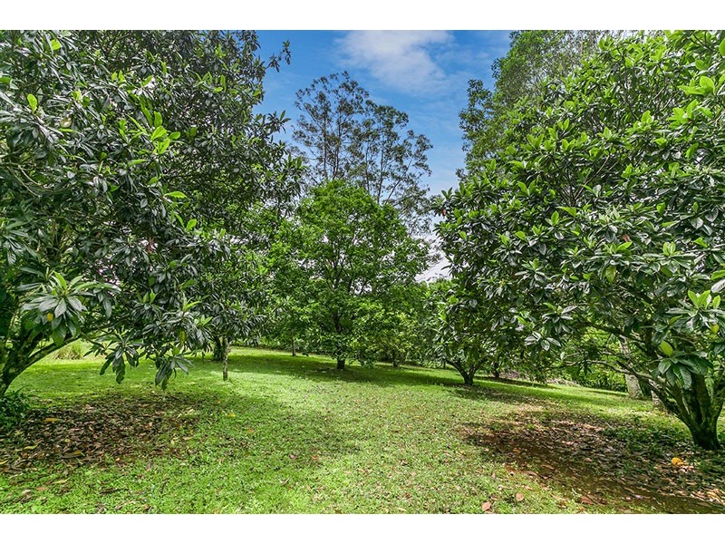 # 321 Coopers Creek Road, Upper Coopers Creek NSW 2482