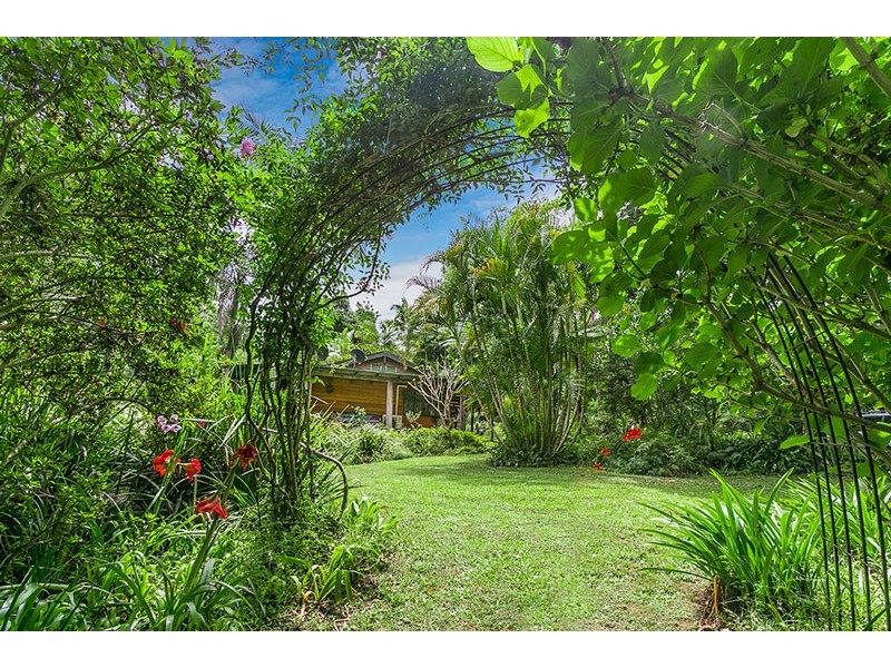 # 321 Coopers Creek Road, Upper Coopers Creek NSW 2482