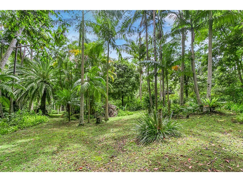 321 Coopers Creek Road, Upper Coopers Creek NSW 2482