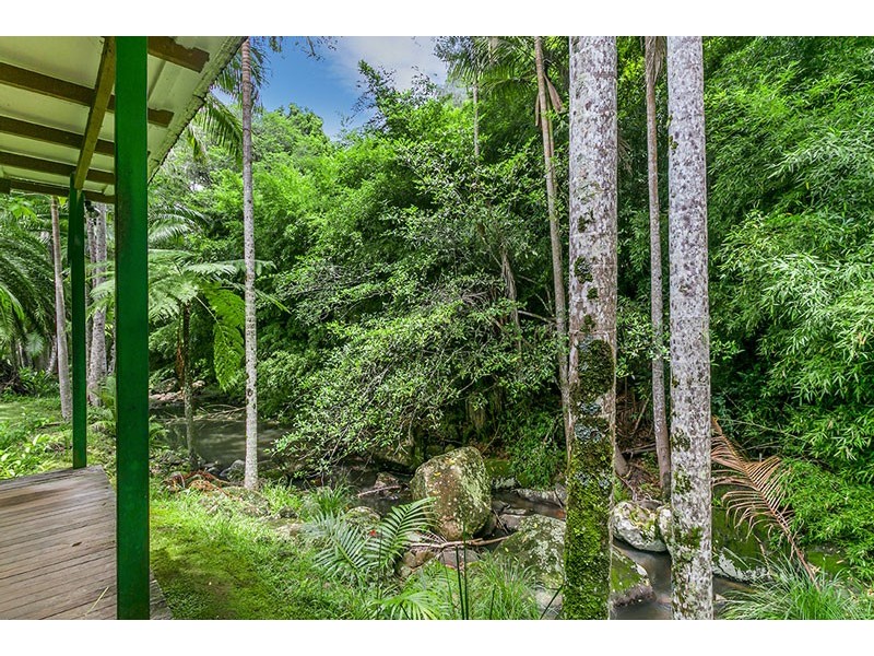 321 Coopers Creek Road, Upper Coopers Creek NSW 2482