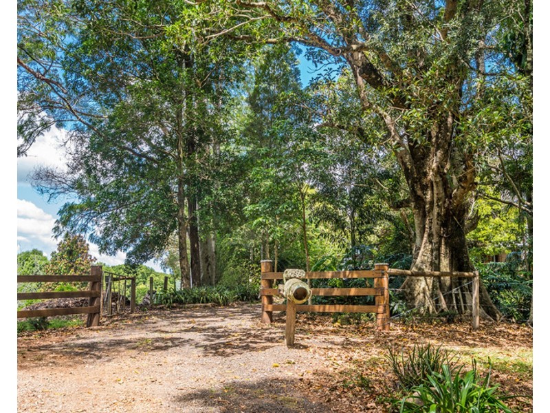 156 Repentance Creek Road, Goonengerry NSW 2482