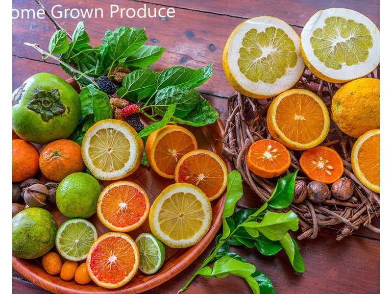 156 Repentance Creek Road, Goonengerry NSW 2482