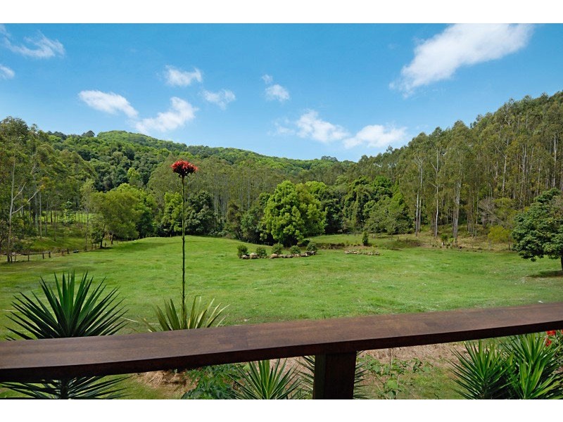 102 Eureka Road, Rosebank NSW 2480