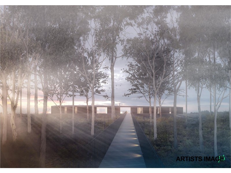 Wilsons Creek NSW 2482